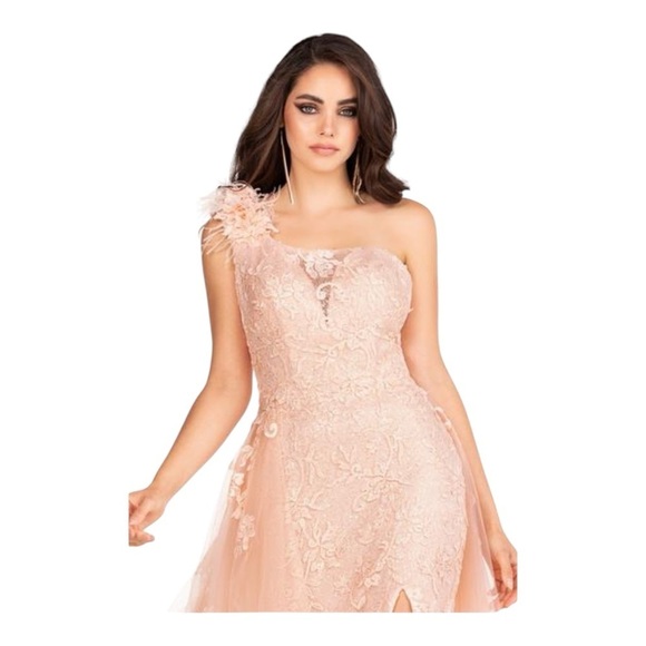 Abby Paris Longs by Lucci Lu Lace Gown with Tulle Overskirt in Blush NWT - Picture 4 of 12